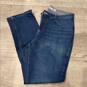 Lee Gray and Blue Skinny Jeans